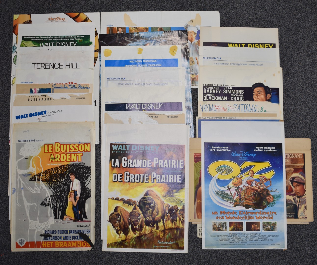 Twenty three mainly Belgian cinema posters, Warner Bros, Walt Disney, Paramount etc, largest 60 x