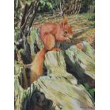 Martin Ridley watercolour of a red squirrel on a tree stump, 29 x 21cm