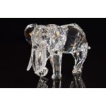Swarovski Crystal glass elephant with frosted tusks, 8.5cm tall.