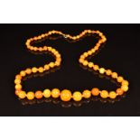 Baltic amber necklace made up of 75 round beads, the largest bead 16mm, 33g
