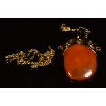 A 9ct gold pendant set with amber on 9ct gold chain, 8.5g