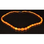 An amber necklace made up of 53 oval beads, with 9ct gold clasp. 19.3g