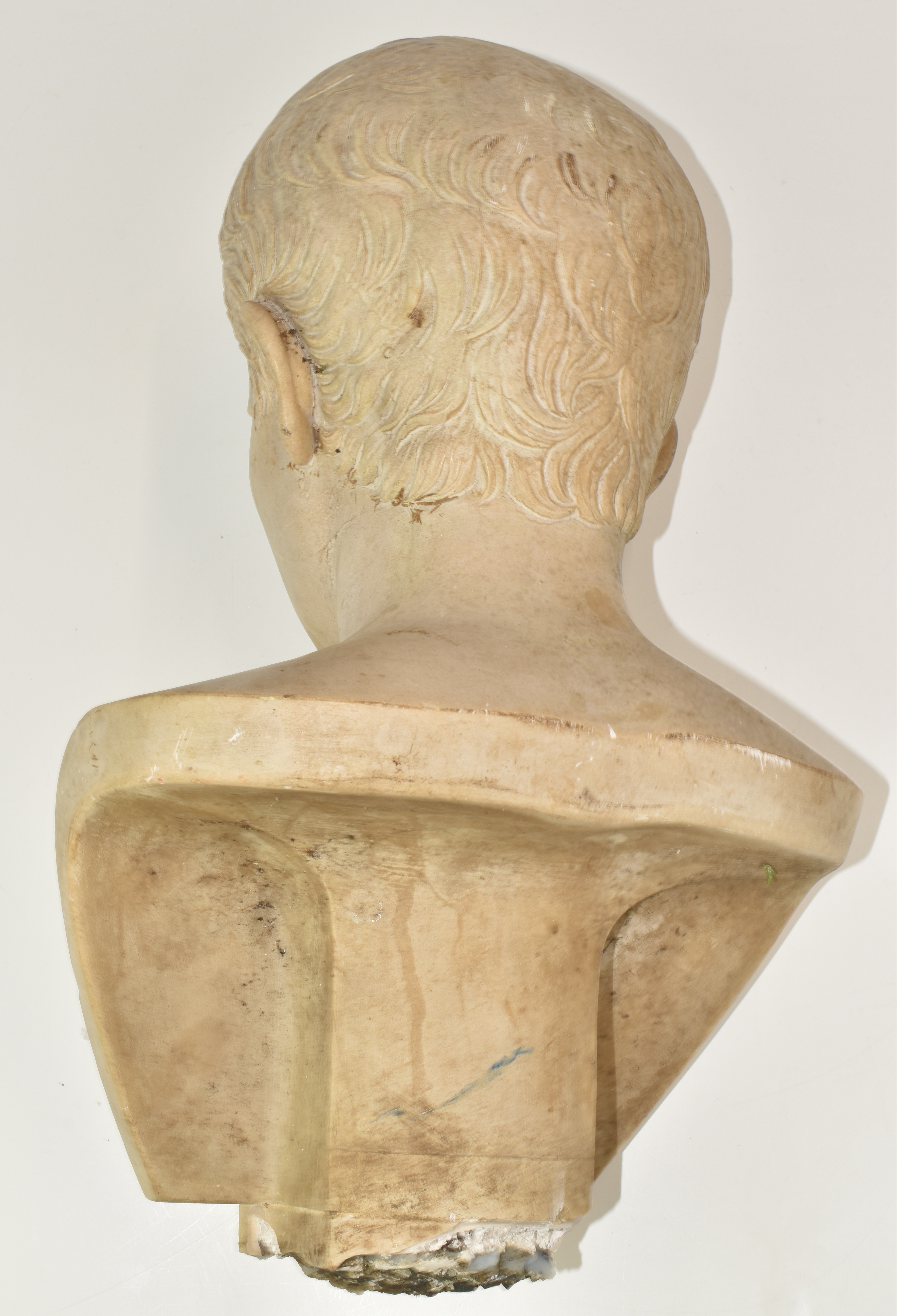 Classical style male bust, height 45cm - Image 2 of 3