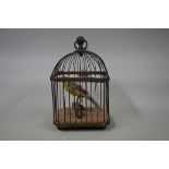 Taxidermy: a yellow canary in brass cage, 24cm high.