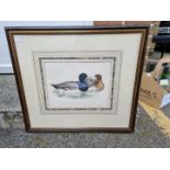 A watercolour of birds by M Fakhrawi; together with a quantity of other pictures.