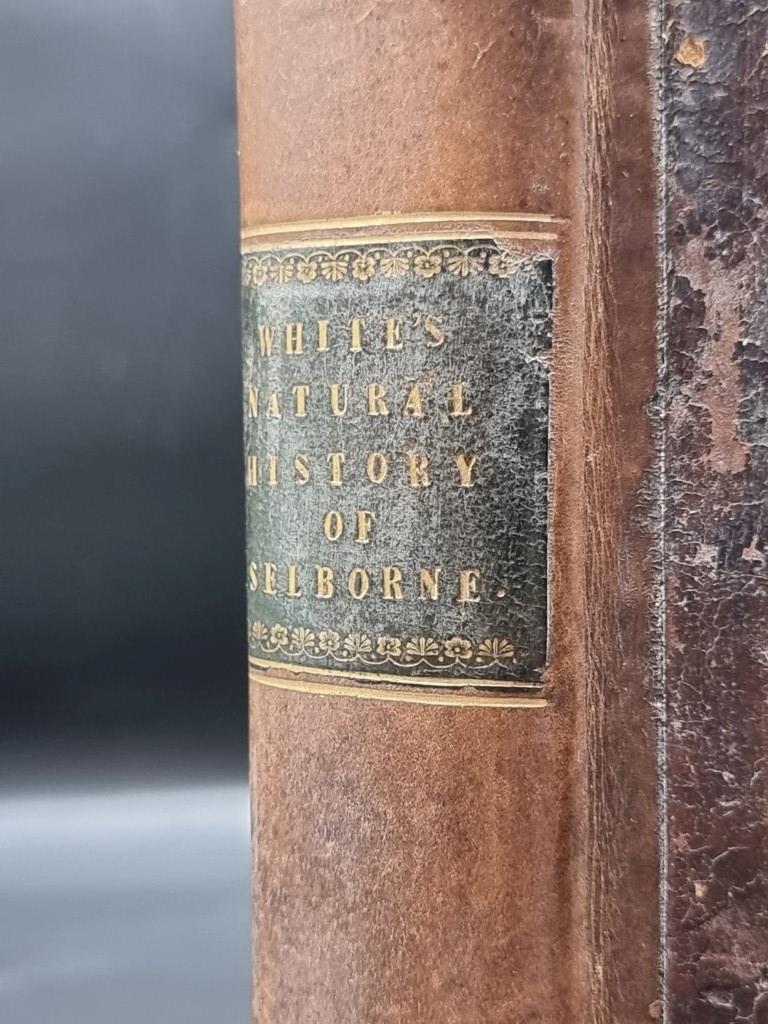 WHITE (Gilbert): 'The Natural History and Antiquities of Selborne, in the County of - Bild 2 aus 6