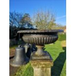 A Victorian cast iron urn