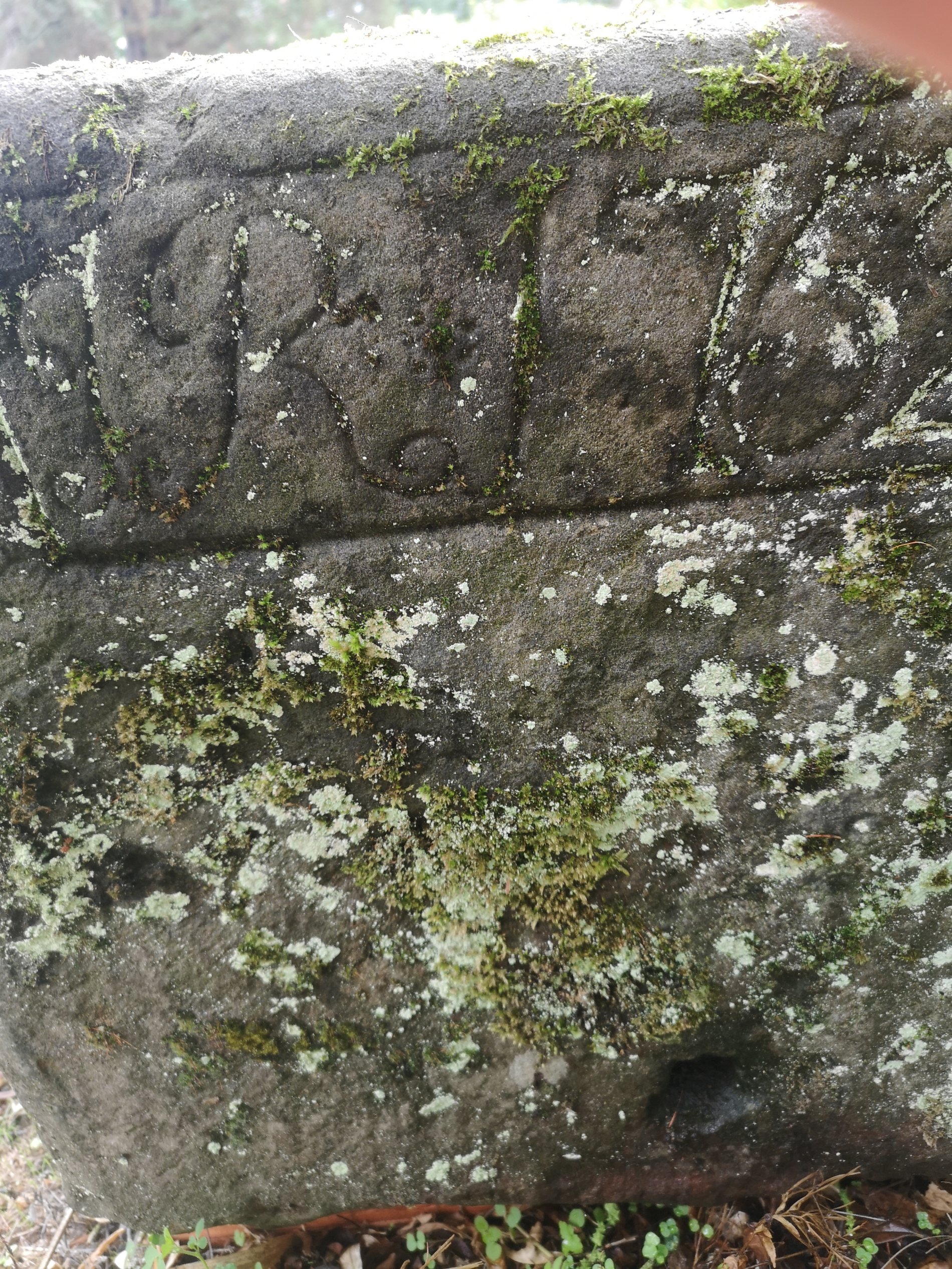 A rare Georgian dated carved stone trough - Bild 6 aus 7