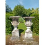 A pair of carved white marble urns on pedestals