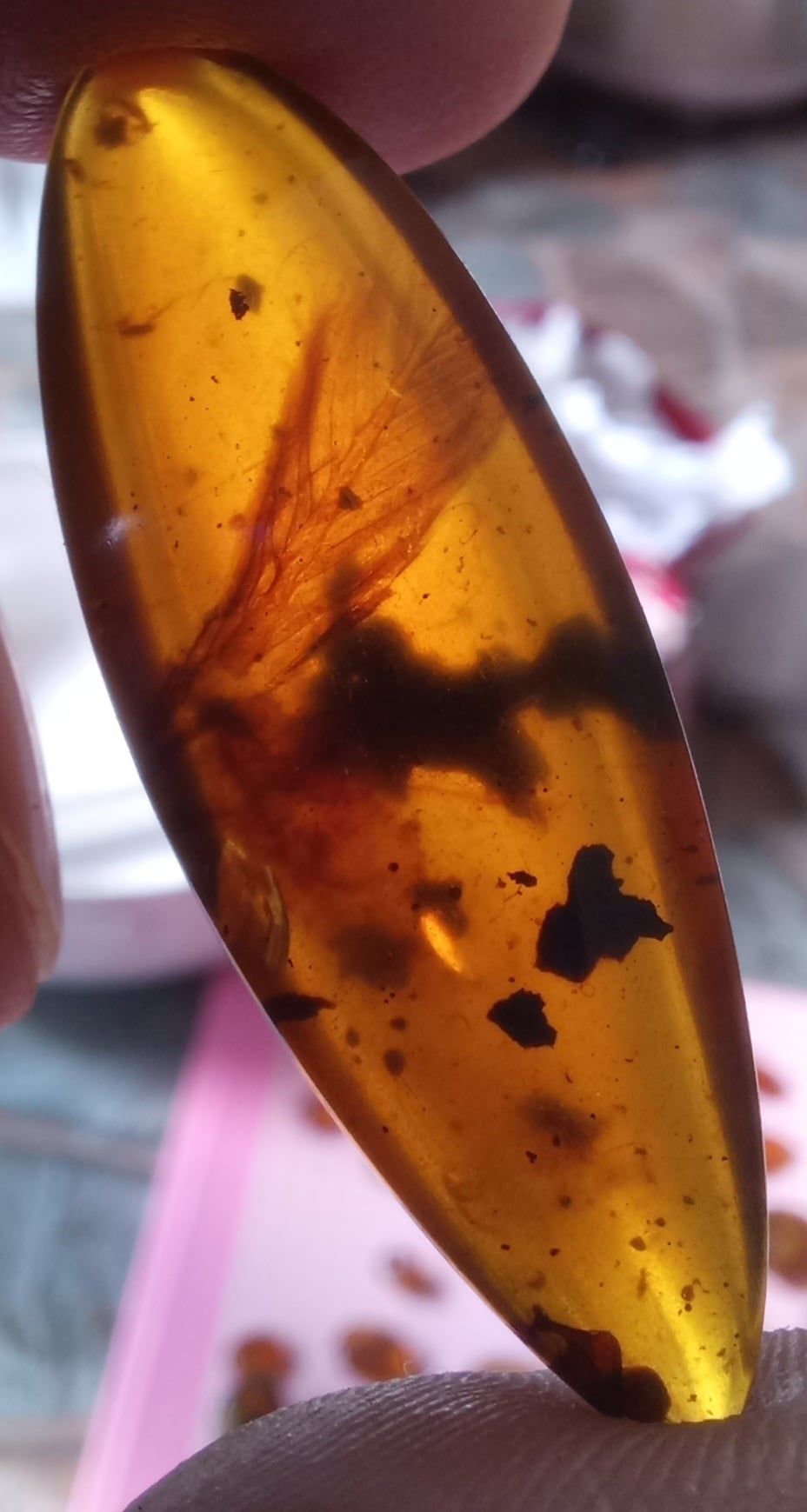 Dinosaur Tail With Streamer Feathers in Amber - Image 2 of 3