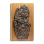 A large Crinoid plaque