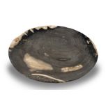 A petrified wood platter