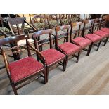 x6 Mahogany dining chairs with red upholstered seat x1 Mahogany Carver