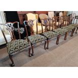 x6 dining chairs