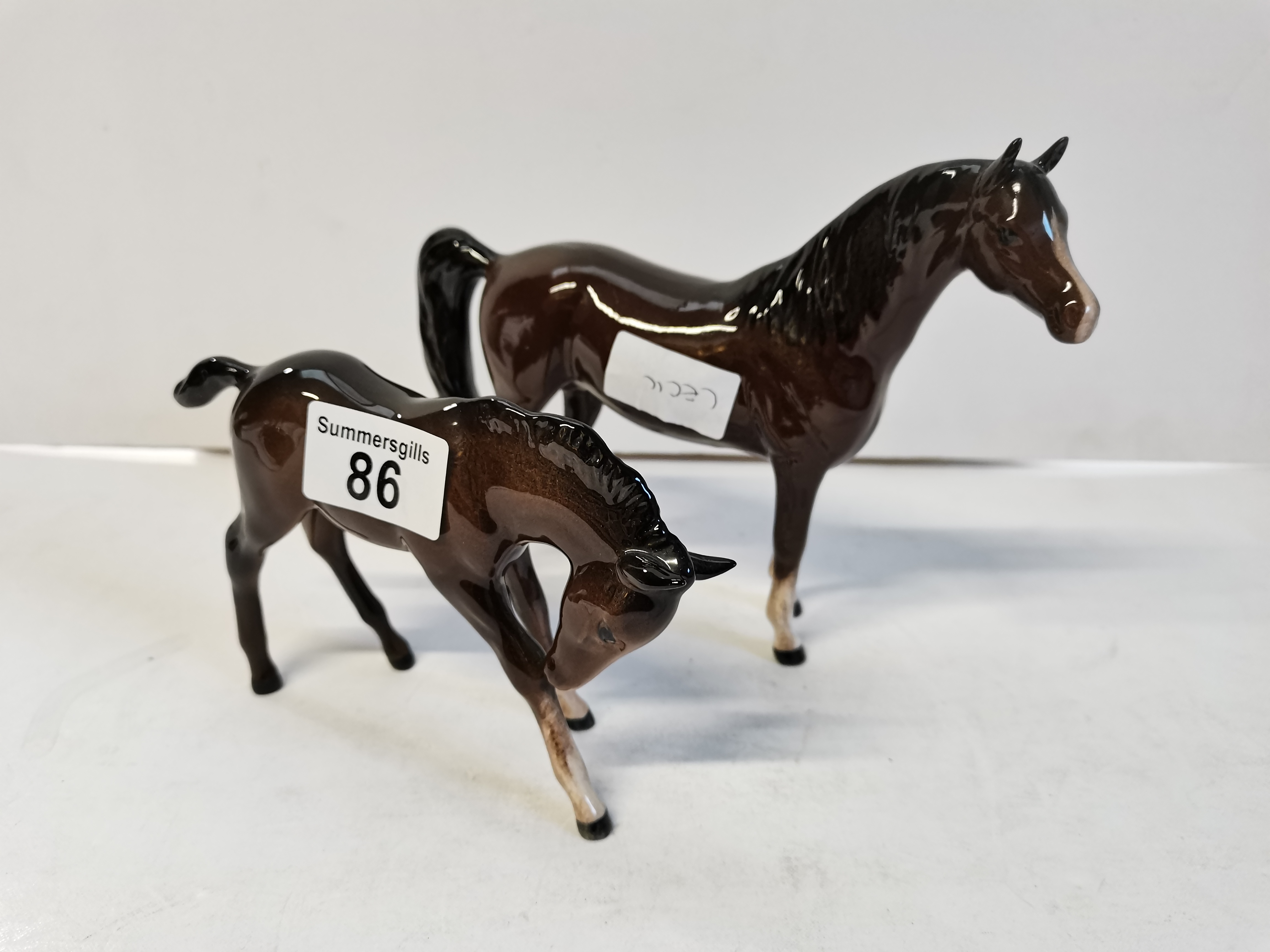 Beswick Bay horse with foal