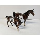Beswick Bay horse with foal