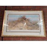 David Shepherd limited edition print "The best spots on the hill" 453/950