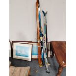 Selection of skiing equipment