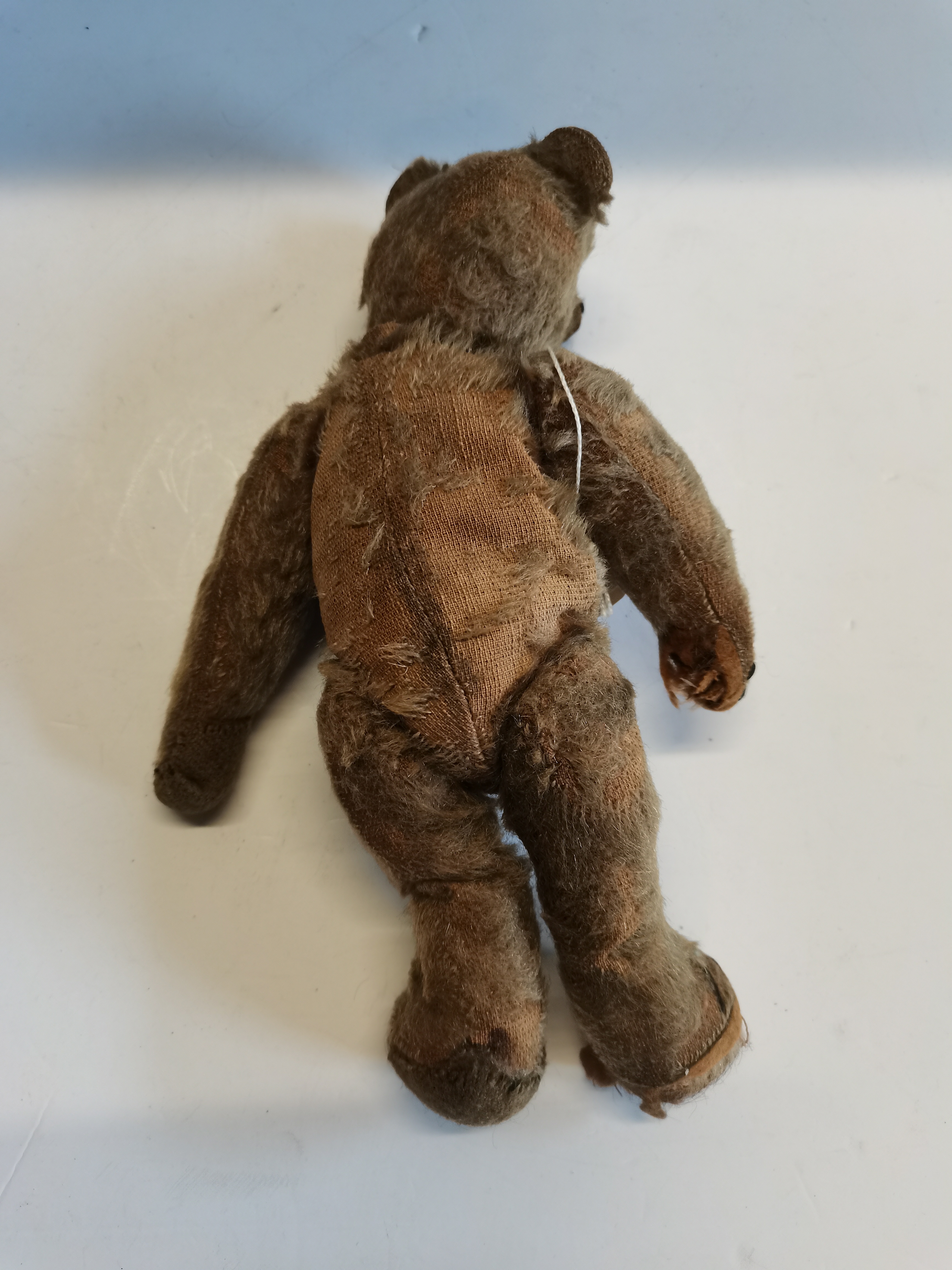 Old Steiff Teddy bear (Missing button) - Image 2 of 2