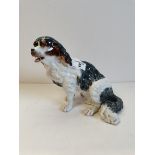 Meissen Dog - overall condition good but a few teeth missing