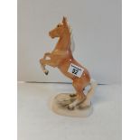 Palomino Beswick horse rearing