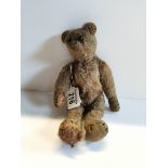 Old Steiff Teddy bear (Missing button)