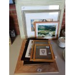 Framed pictures and scenes