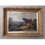 Oil on board of Highland cattle in gilt frame by R O Wilson