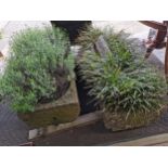 2 x Stone garden troughs 136cm x 60cm and 154cm x 55cm 1 x no. (A/F)