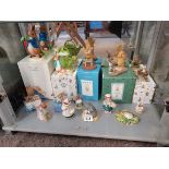 Mixture of Beatrix Potter and Winnie the Pooh Figures 14 in total