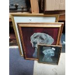 3 x framed pictures of Great Danes