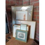 6 Framed Antique Prints (Certificate of Authenticity with "English Setter on Moorland")