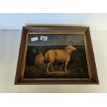 Early oil painting of sheep 35cm x 30cm Condition Grade:  A Excellent: