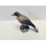 Royal Copenhagen figurine. Redwing sitting on berries - No1235