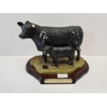 Border fine arts Aberdeen Angus Cow and Calf - damaged