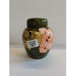 Moorcroft Hibiscus green Ginger jar with lid - H16cm - excellent condition