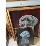 3 x framed pictures of Great Danes