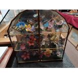 Franklin Mint Butterflies of the world Display with display Case