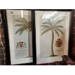 x2 framed vintage print plate IV page 111