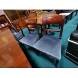 x6 mahogany dining chairs plus 2 carvers with blue velvet seats
