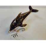 Crown Derby Dolphin - gold button - excellent condition