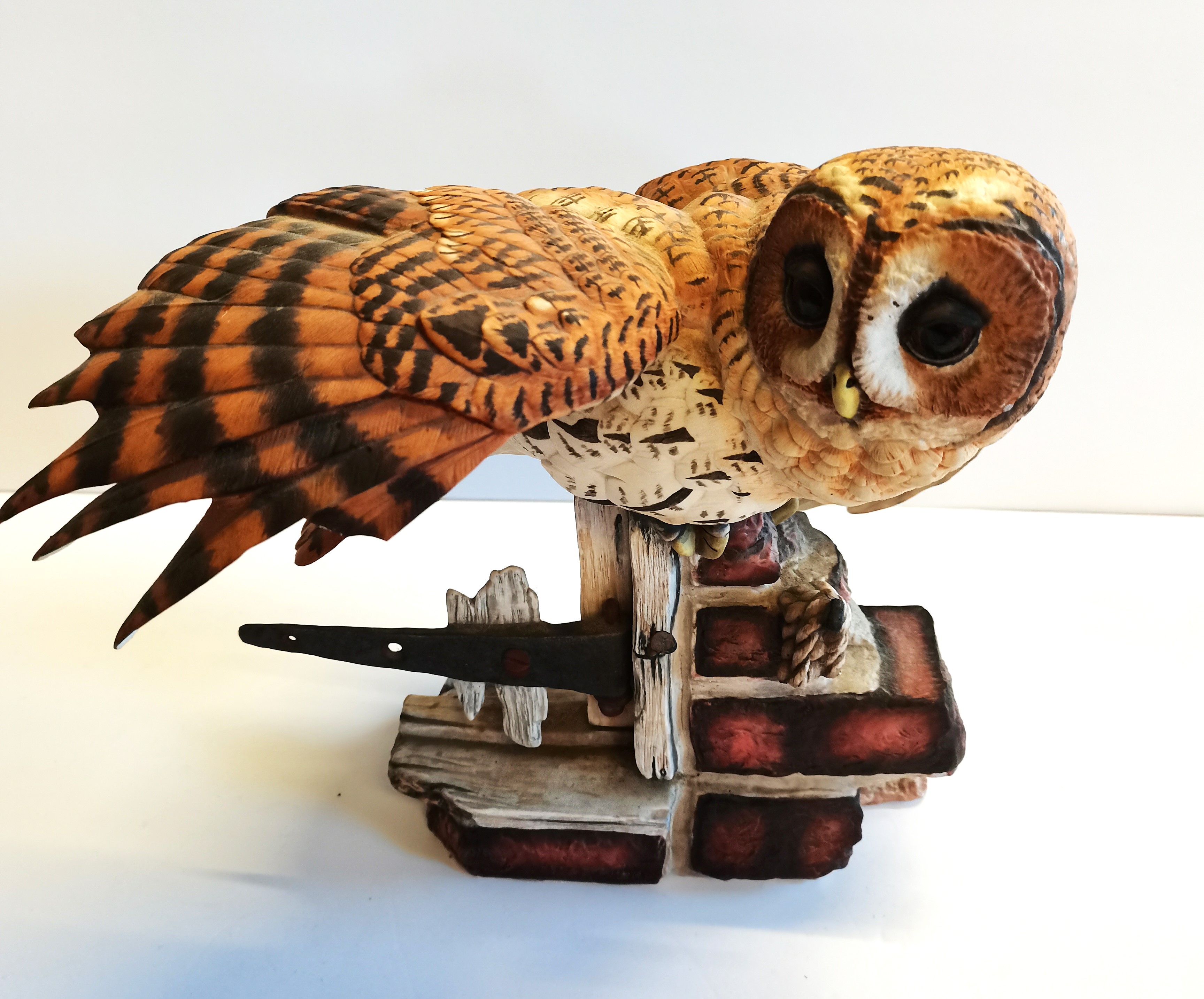Franklin Owl (d/d)