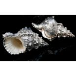 ATTRIBUTED TO FEDERICO BUCCELLATI, A PAIR OF ITALIAN SILVER COATED CONCH SHELLS. (length 20.3cm,
