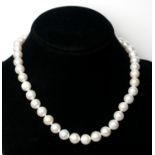 A FRESHWATER CULTURED PEARL NECKLACE Fastened with a 9ct gold ball clasp.