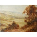 TWO 19TH CENTURY OIL ON CANVAS, LANDSCAPES Mountainous view, distant figures and a seascape,