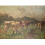 CHARLES COLLINS ARCA, 1851 - 1921, OIL ON CANVAS Cattle in a grazing field, signed lower right, gilt