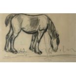E. BLAMPIED, 1959, CHARCOAL Study of a horse, signed, mounted, framed and glazed. (34cm x 28cm)