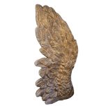 A LARGE GILT FOAM ANGEL WING WITH CARVED FEATHERS. (approx 260cm x 130cm)