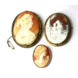 TWO 19TH CENTURY YELLOW METAL AND SHELL CAMEO BROOCHES Oval carved with a classical female bust