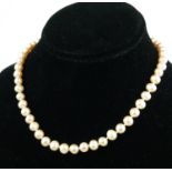 A FRESHWATER CULTURED PEARL NECKLACE WITH A 9CT YELLOW GOLD BALL CLASP.